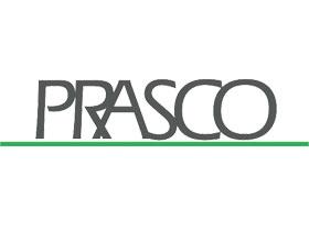 PRASCO FD9341021 - FO/DEFENSA D.TRANSIT CONN.02->,GR