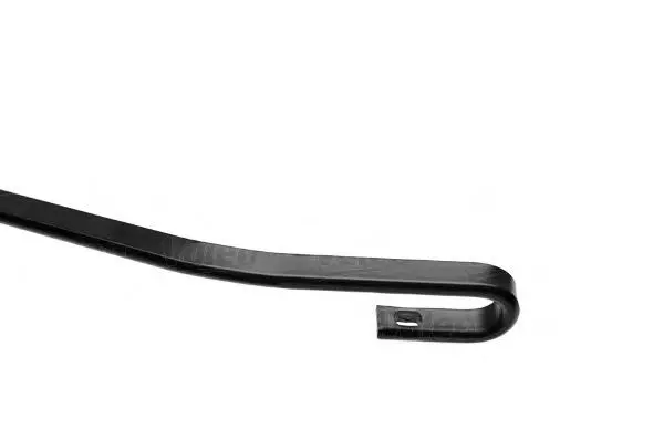 thumb (32).webp