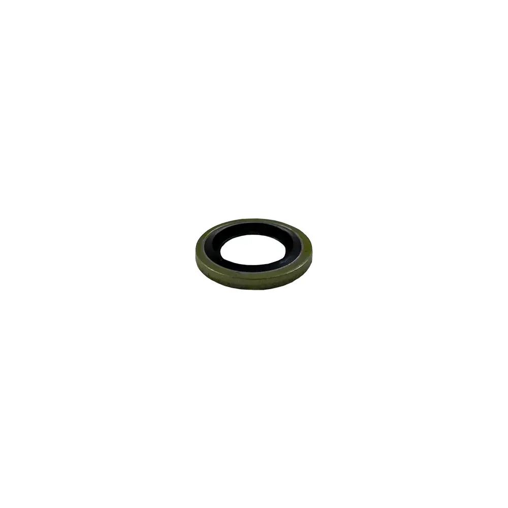 UN/JUNTA TAPON CARTER 10MM 1UNID
